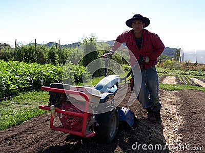 Latino farm worker