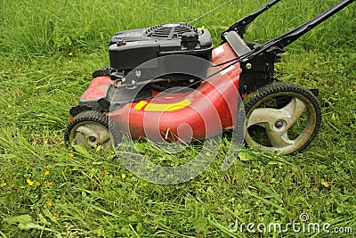 Lawn mower cutting grass