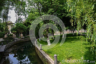 Lawn and trees by brook in spring