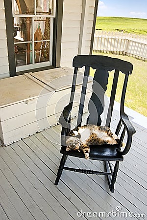 Lazy Summer Country Cat on Back Porch Rocking Chair