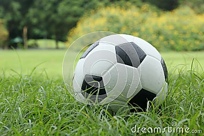 Leather Soccer ball