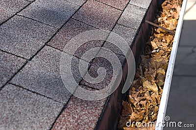 Leaves in Gutter, Home Maintenance and Repair