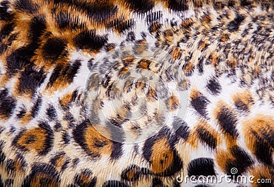 Leopard Fur background