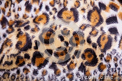 Leopard Fur background