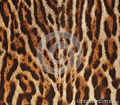 Leopard fur texture background