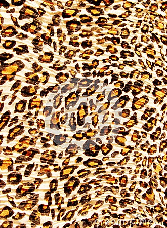 Leopard pattern