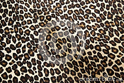 Leopard pattern