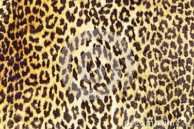 Leopard pattern