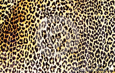 Leopard print