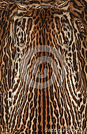 Leopard real fur texture