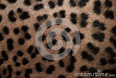 Leopard skin