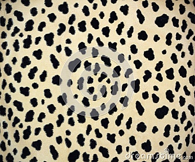 Leopard skin