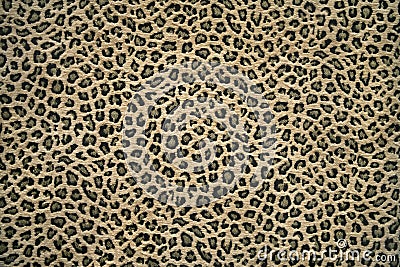 Leopard skin pattern