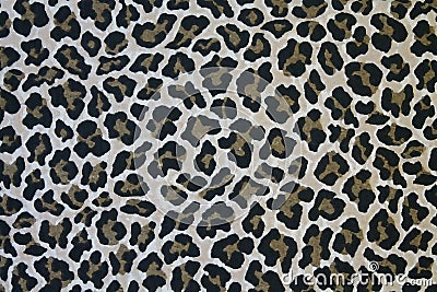 Leopard Skin