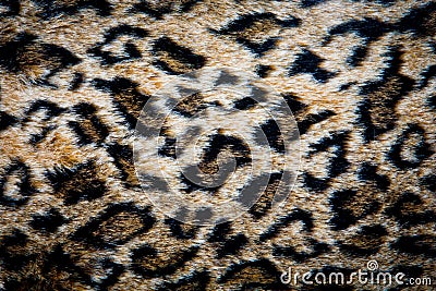 Leopard skin texture