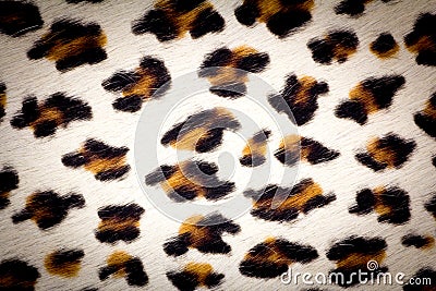 Leopard skin texture