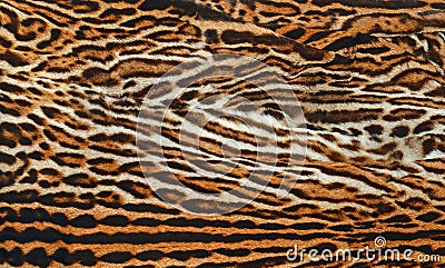 Leopard skin texture