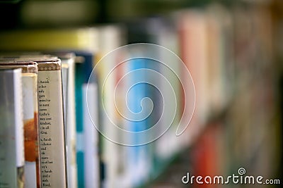 Library Bookshelf