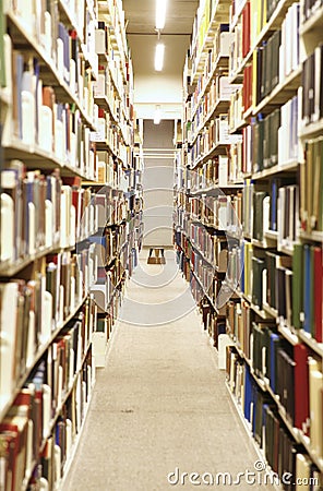 Library Interior