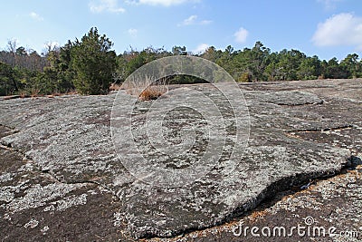Lichens and moss covering a granite rock outcrop