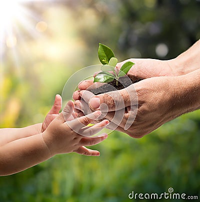 Life in your hands - plant whit garden background