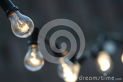 Light bulbs