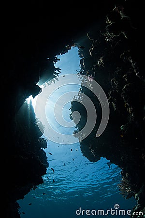 Light Illuminating Underwater Crevice