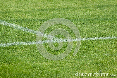 The line on the grass on the football pitch