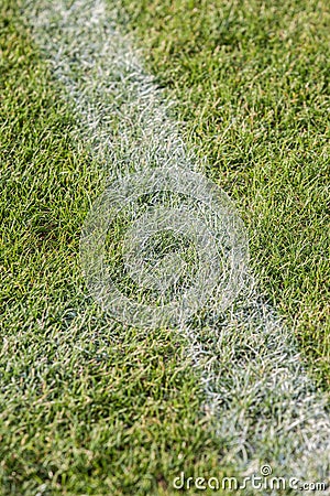 The line on the grass on the football pitch