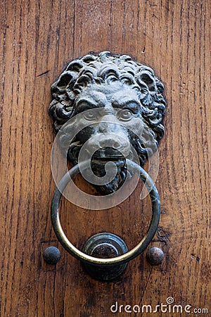 Lion door knocker