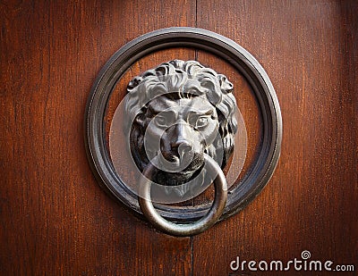 Lion Head Door Knocker