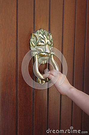 Lion Head Door Knocker