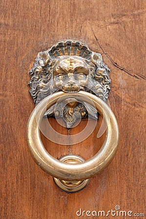 Lion shaped door knocker