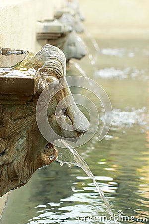 Lion statue spitting water - vintage style