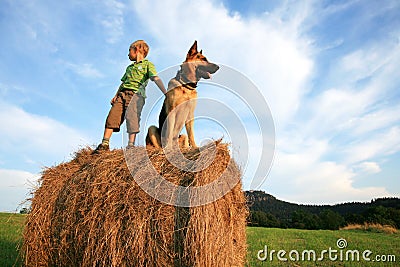 Little boy with big dog on the meadow during summe