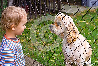 Little boy and dog behind fence