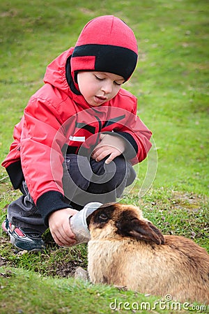 Little boy feed a rabbit