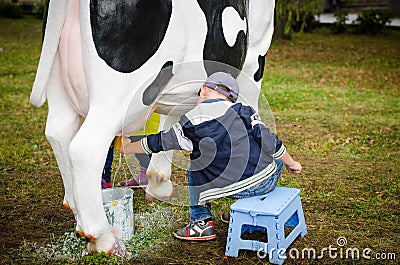 Little boy learning to milk a cow