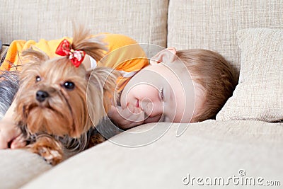 Little boy sleeping and hugging loving dog york