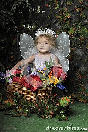 Little fairy