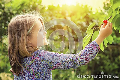 Little girl and cherry tree