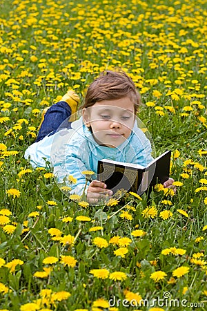 Little girl on the grass reading book