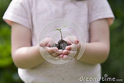 Little girl holding new sprout in her hands