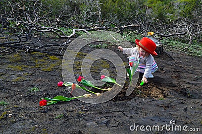 Little girl is planting tulips over burned ground