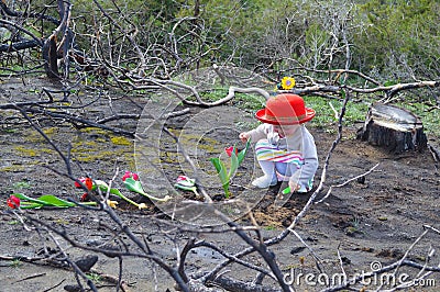 Little girl is planting tulips over burned ground