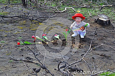 Little girl is planting tulips over burned ground