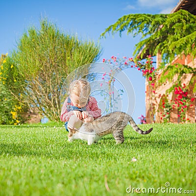 Little girl plays with a cat on a green grass