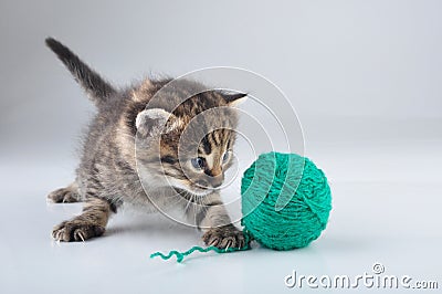 Little kitten playing with a woolball