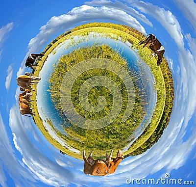Little planet panorama