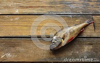 Live fish on the wooden board